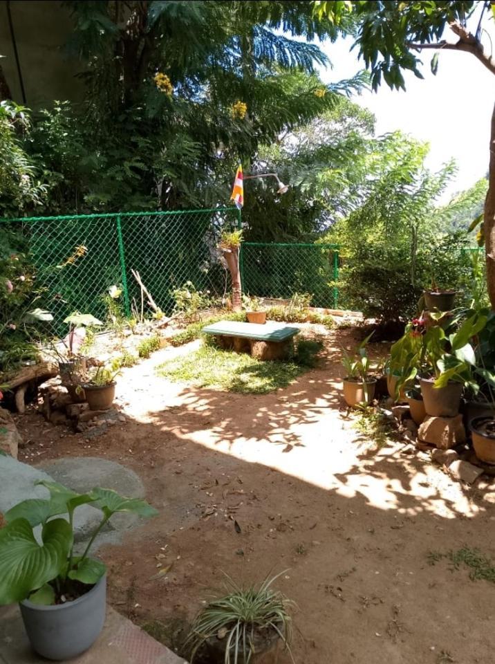 לינה וארוחת בוקר אלה Pasan Guest מראה חיצוני תמונה